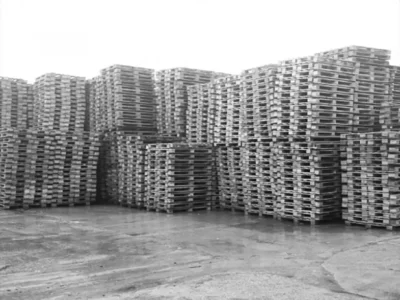 Pallet NINF 15 Exportación